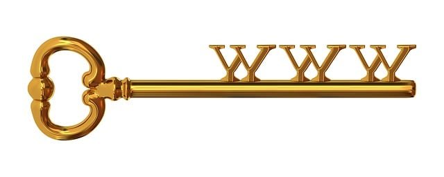 portfolio, domain names